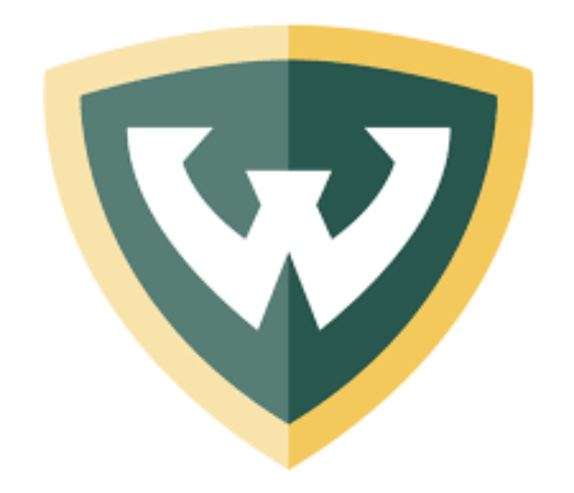 MichaelSulaka's tweet photo. Blessed to receive an offer to Wayne State University! Thankyou to @Bryan_Smothers and @CoachMoan for the opportunity. https://t.co/RzGgT0n9kE