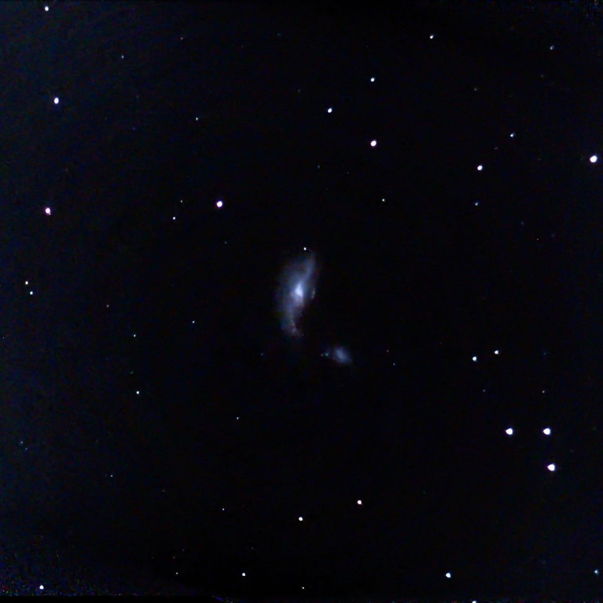 queerastrospace's tweet photo. NGC 4490 Cocoon Galaxy. Magnitude 9.8 barred spiral galaxy located 25 million light-years away in the constellation Canes Venatici. It interacts with its smaller companion NGC 4485.
#astrophotography #astronomy #space #unistellar #citizenscience #ngc4490 #galaxy #canesvenatici https://t.co/egvh4HRiDj