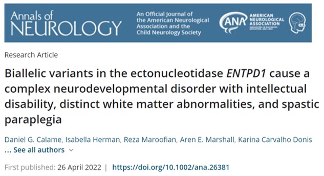Our Annals of Neurology paper is online! Congrats to co-first author <a href="/isaherman85/">Isabella Herman, MD, PhD</a>, <a href="/LupskiLab/">LupskiLab</a> members, and all co-authors @redsquirrel001! #HSP #NDD #neurogenetics 🧵
pubmed.ncbi.nlm.nih.gov/35471564/