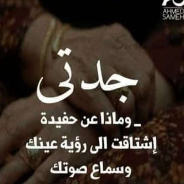 Mima_Mohammed74's tweet photo. #صورة_ملف_شخصي_جديدة https://t.co/Iv2IxtU8LM
