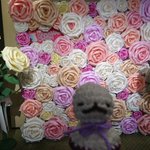 ツイートに含まれる画像