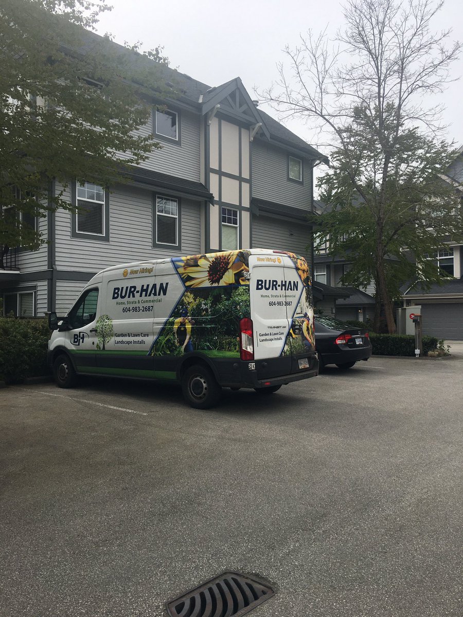TJDoubleU14's tweet photo. A young woman used a hedge trimmer to hack my entrance vine that took 7 years to be what it was! It was growing back and forth and she hacked it so bad it died off! Their resolution was to have their team fertilize it to “give it a boost!“ #horrified @BHGardenLawn https://t.co/zeypeNV8Lp