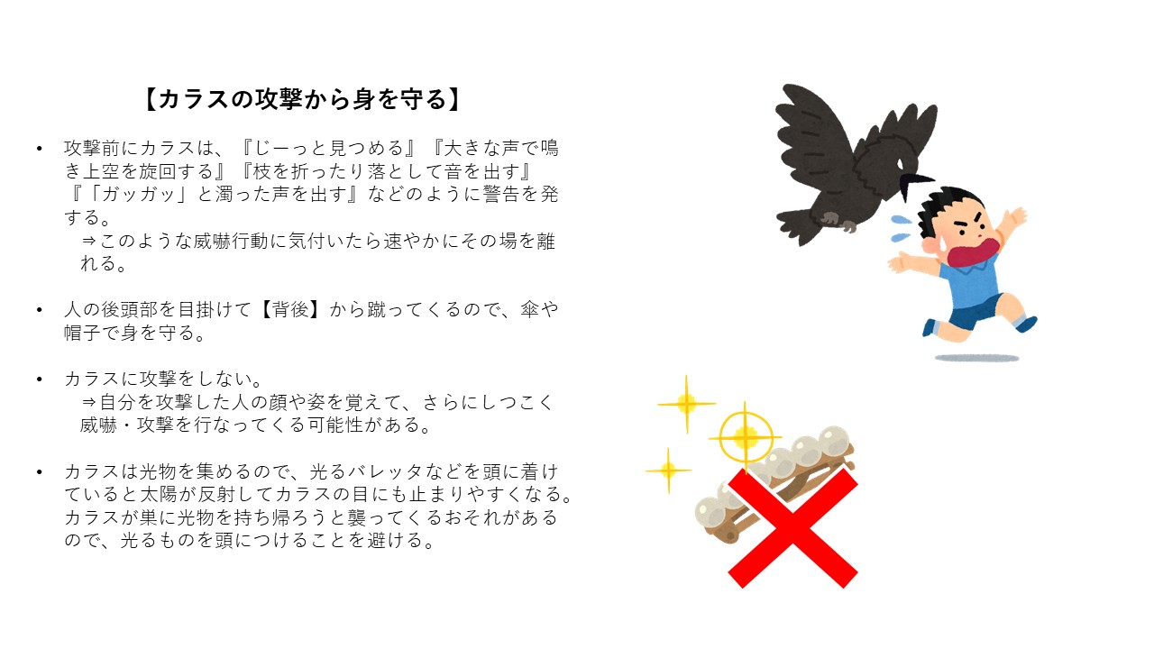 تويتر 佐賀大学 Saga University على تويتر 注意喚起 本学構内 本庄キャンパス において カラスに襲われたとの被害報告がありました 一般的にカラスの繁殖期が3月 7月と言われており そのうち4月 6月は産卵 ヒナの育成のため 特に凶暴性が増すようです