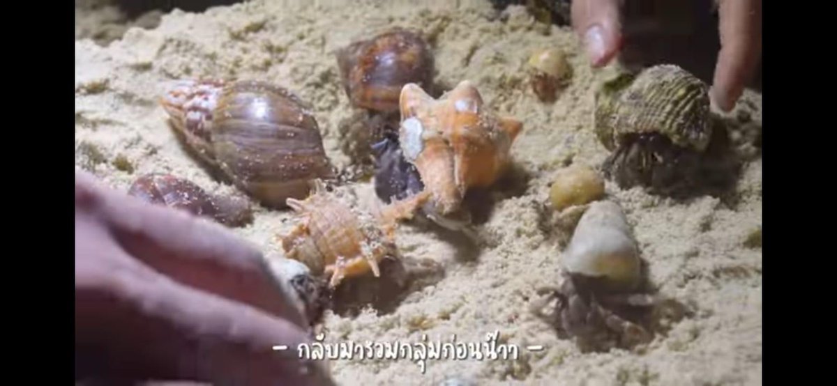 วาวว่า tweet media