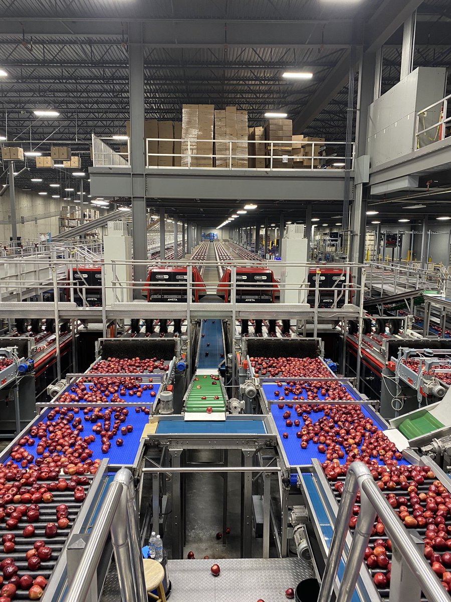 cherrydude's tweet photo. Apple packing tour today! #apples https://t.co/cImxyU4oms