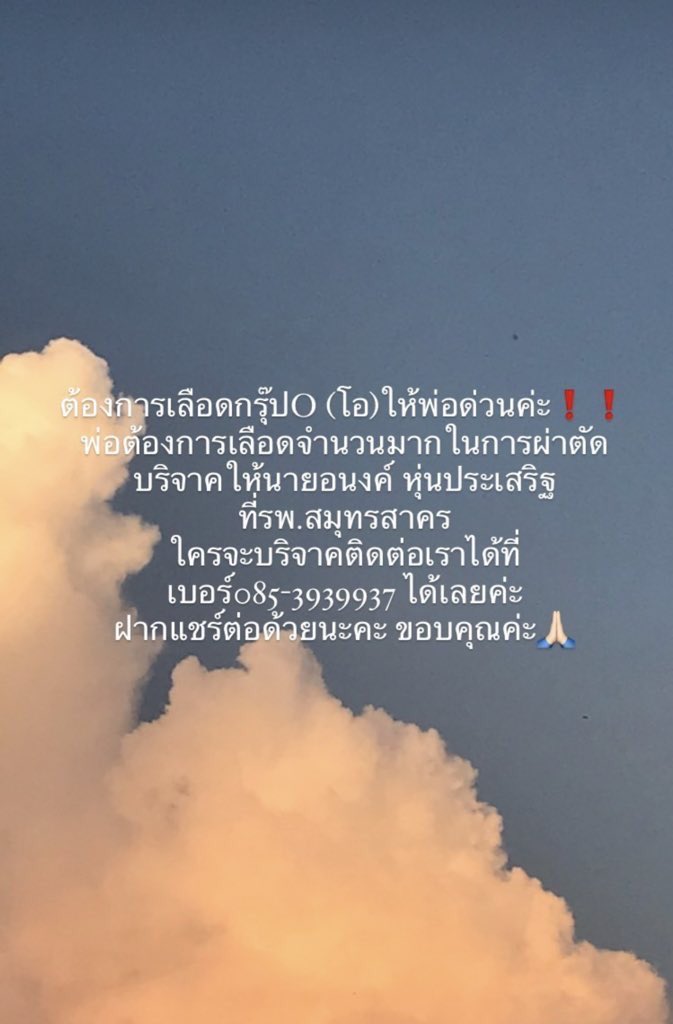 พายพาสเทล tweet media
