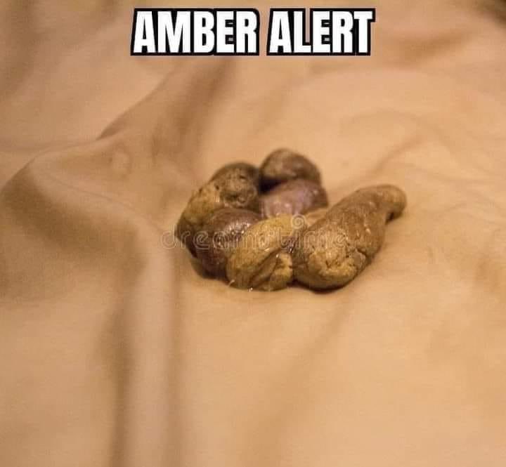 We have an Amber Alert in place on the west coast until Ms Heard’s bowels have fully emptied.