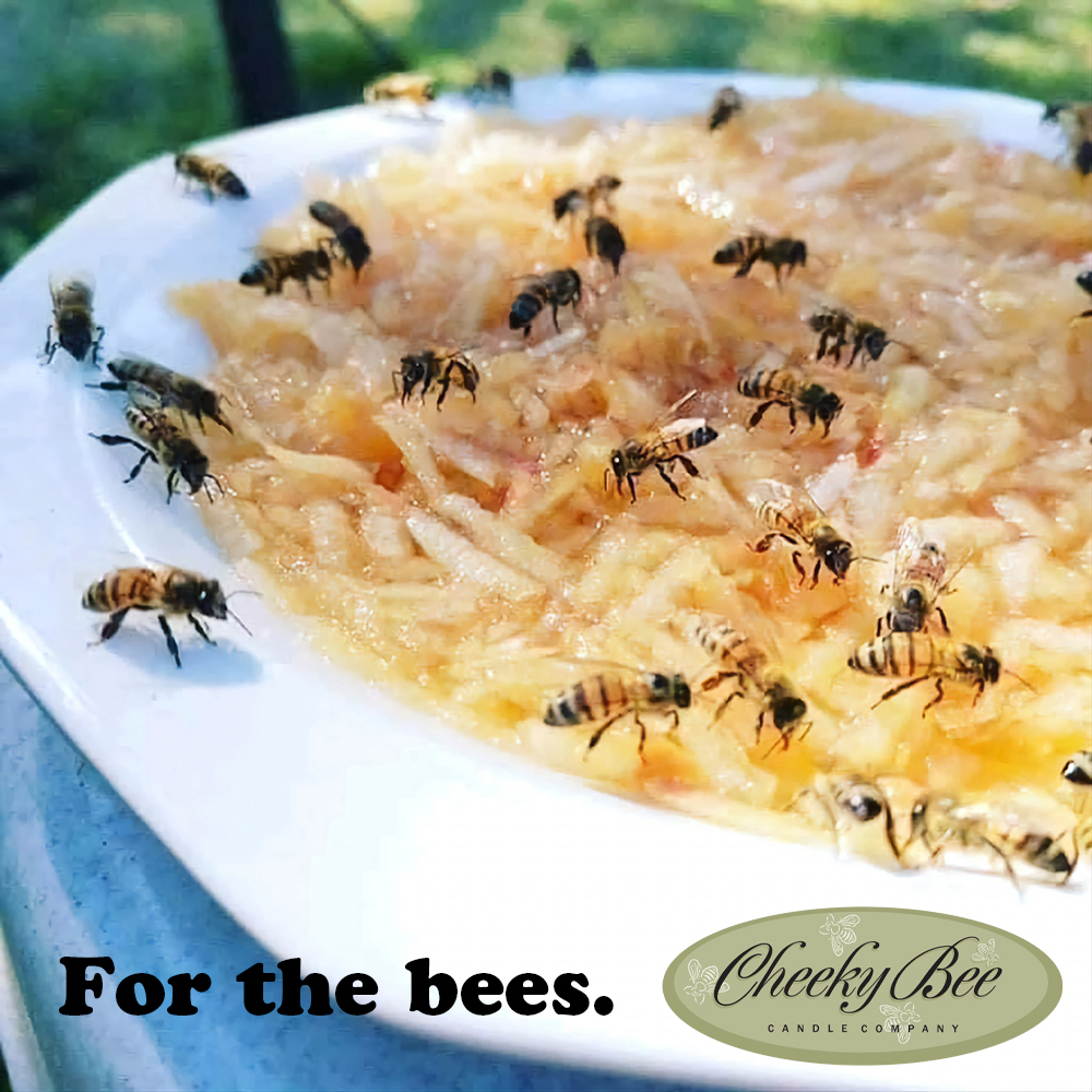 CheekyBeeCandle's tweet photo. Grate an apple and add it, along with some water to a shallow bowl left out in your garden. The bees will be able to get the natural sugars from the fruit and also drink the water safely as they stand on the grated pieces of fruit.
#SaveTheBees #WeLoveBees #HelpTheBees #CheekyBee https://t.co/WE9TkiJFpT