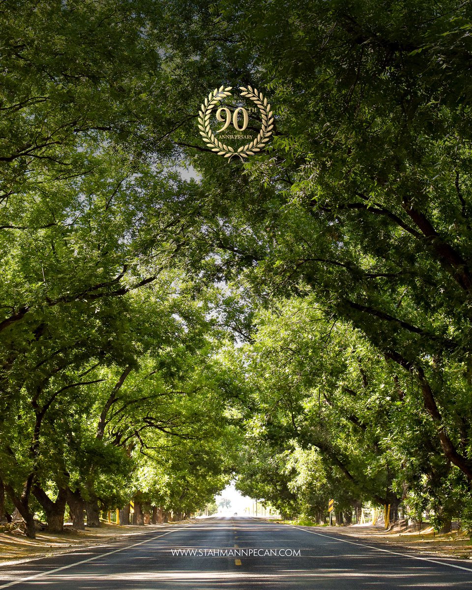 stahmanns's tweet photo. We’ve been making the most out of our sunny little corner of New Mexico for 90 years! 🌳

Did you know that the first crop we planted wasn’t a nut? We didn’t start as a pecan farm, but one harvest, and we were hooked. 

Learn more 👉https://t.co/peyK7fQiPo

#StahmannsPecans https://t.co/NQFYsgOEy3