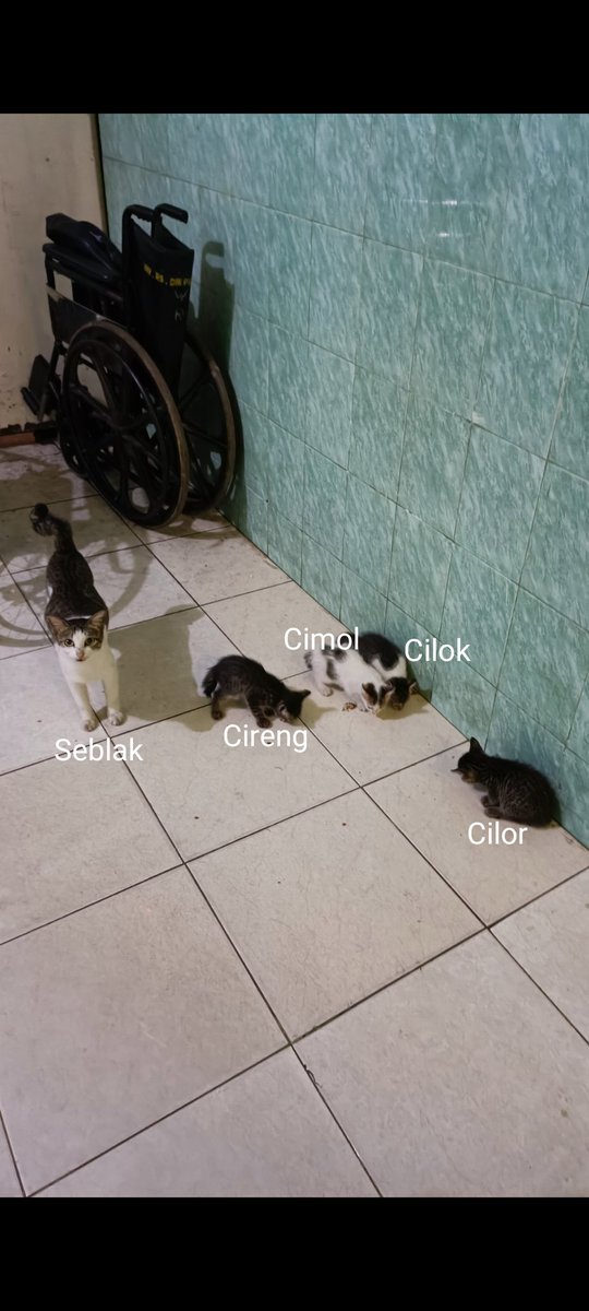 SeblakBaskom tweet media