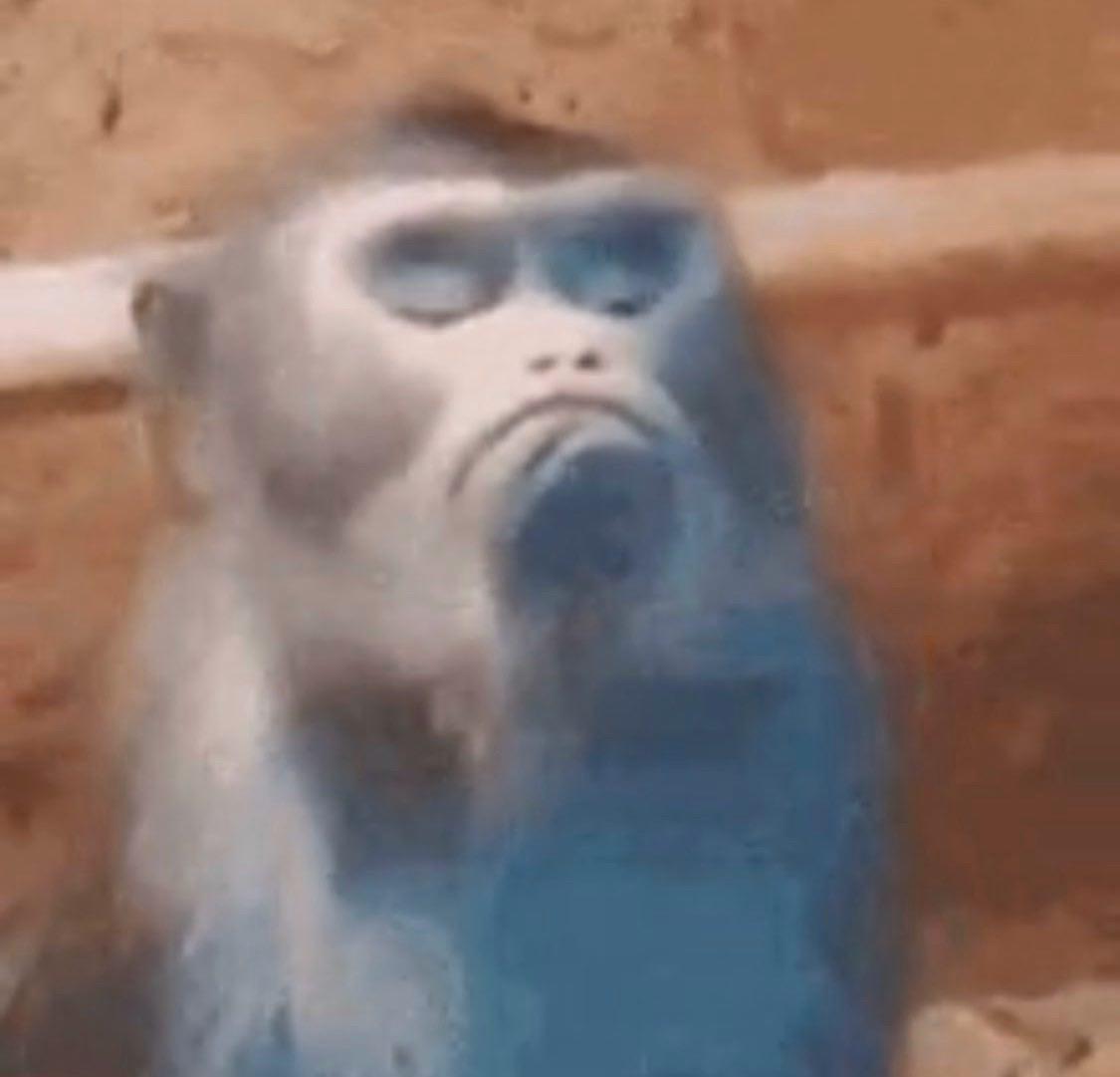 #الراتب على وشك الانتهاء😳💔