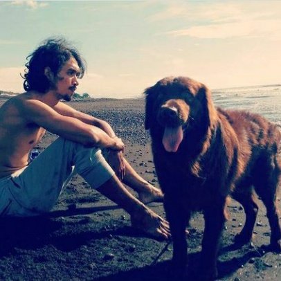 ian j stevenson tweet media