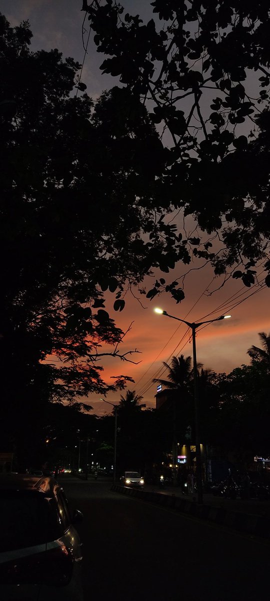shelybeann's tweet photo. A beautiful evening ✨ https://t.co/pCMmgLe0Zh