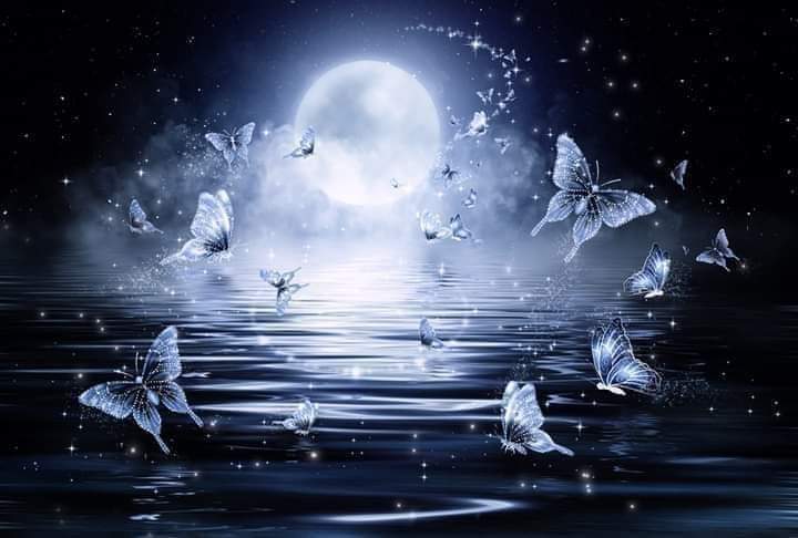 kh89t's tweet photo. ••
فبعد العَتمَةِ الظَّلماءِ نورٌ
وطولُ الليلِ يعقبهُ الضياءُ
أمانينا لها ربٌ كريمٌ 🤲
إ��ا أعطى سيُدهِشُنا العطاءُ https://t.co/dv92PcrvPk