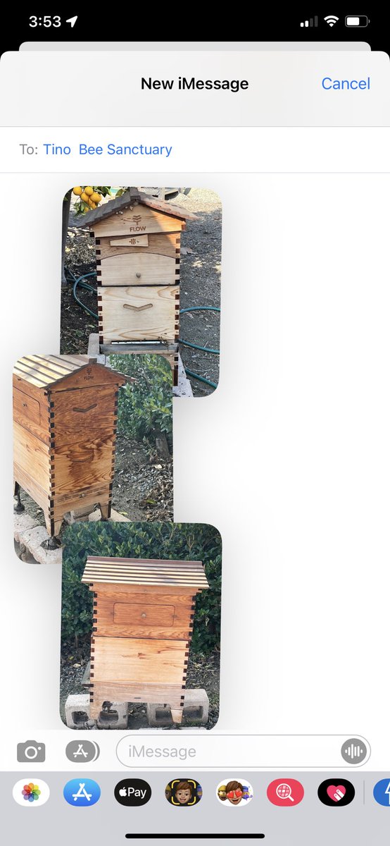 What’s your take on the flow hive ? Actual experience with keeping bee’s in a flow hive ? #flowhive #beekeeping