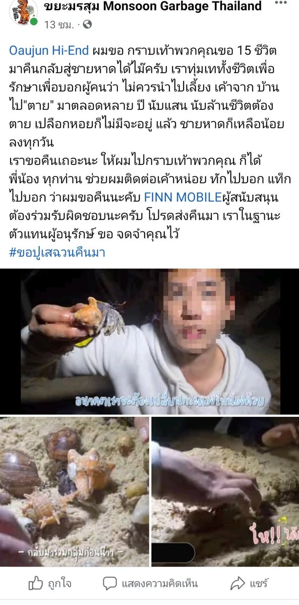 LM19_'s tweet image. อ่านเพจขยะมรสุม เค้าวิงวอนขอร้องให้ ยทบ. ช่องนึงนำปูเสฉวนกลับมาคืนชายหาด เค้าแท็กขอร้องจริงจังมาก เพราะทุกวันนี้น้องก็แทบจะไม่มีที่อยู่ แถมมนุษย์ก็ไม่สามารถเพาะพันธุ์น้องเพื่อนำกลับไปทดแทนธรรมชาติได้ด้วย ไม่รู้เค้ามีแอคในทวิตไหม? เผื่อมีคนรู้จักฝากสะกิดหน่อย