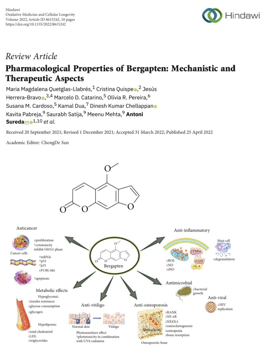 Dinesh_Kumar78's tweet photo. Pharmacological properties of Bergapten | @Kam_Dua #Dua_Lab @Dinesh_Kumar78 @UTSARCCIM @UTS_GSH @UTS_Health @IMUMalaysia @_INPST #INPST @ScienceCommuni2 #BNPLAB #NPMND https://t.co/SLRvWB9EJL via @Hindawi https://t.co/noU1EK97Bn