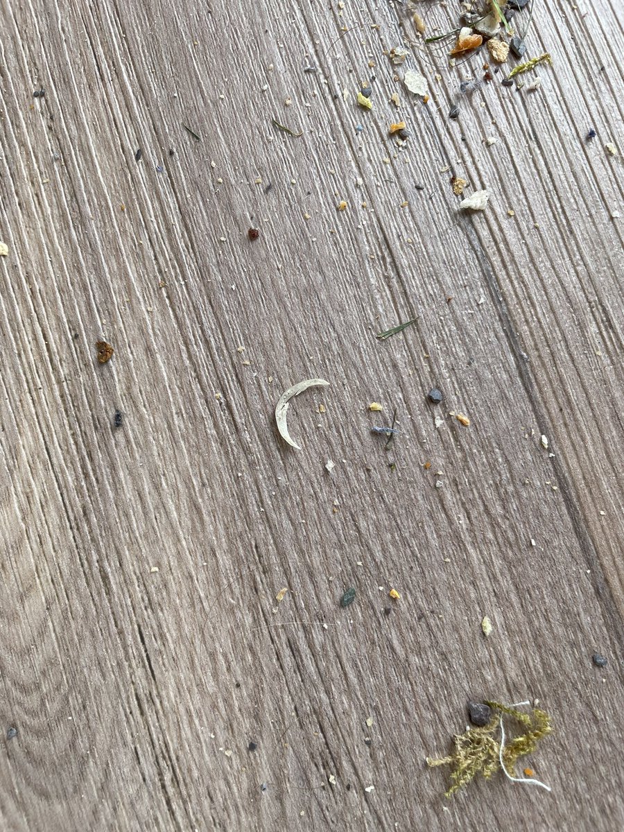 Stuart1988H's tweet photo. @haven so disappointed how we were treated 3 night break away ruined, started of with having to clean our own caravan it was disgusting. Hairs in the sink toe nail clippings on the floor and apparently this had been cleaned for us to use. #holidayfromhell https://t.co/CDEodhWsLA