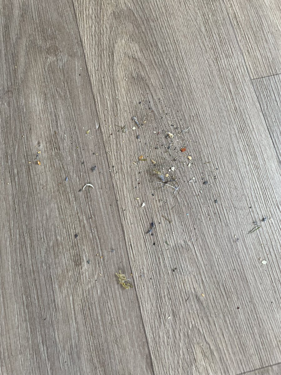 Stuart1988H's tweet photo. @haven so disappointed how we were treated 3 night break away ruined, started of with having to clean our own caravan it was disgusting. Hairs in the sink toe nail clippings on the floor and apparently this had been cleaned for us to use. #holidayfromhell https://t.co/CDEodhWsLA