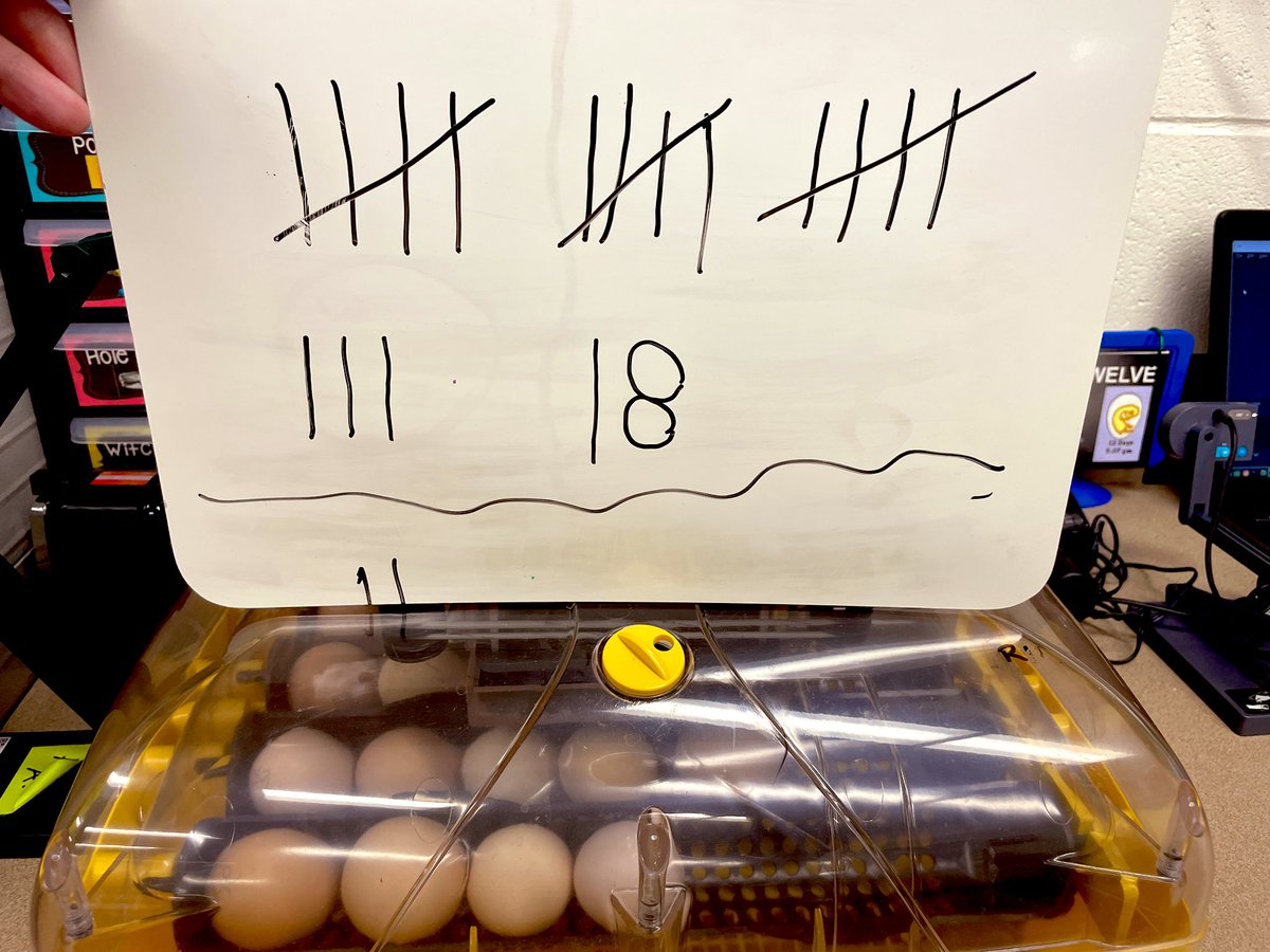 PCSD_GBlibrary's tweet photo. It was candling day for the @PCSD_GB chicks🐣 Out of 20 eggs, we have 18 that seem to be viable! 9 days left! #LearningInTheLibrary @smalchow #RaiderStrong https://t.co/hm28kTHFxP