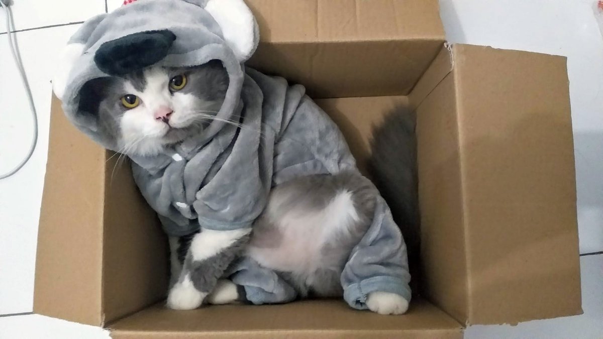 imma wild animal

source: trust me