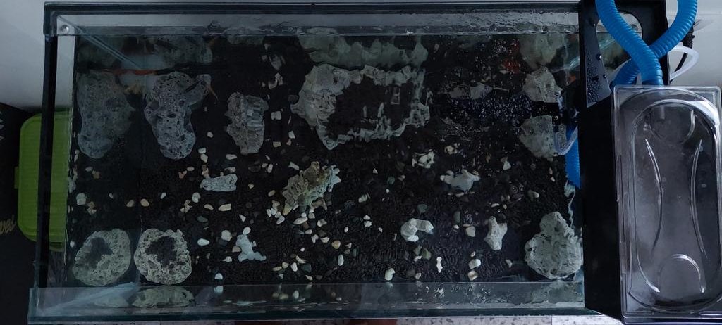 ashenone07's tweet image. Finally started my hobby. I planted a couple of seeds in the bottom and hoping after a week to see them grow.