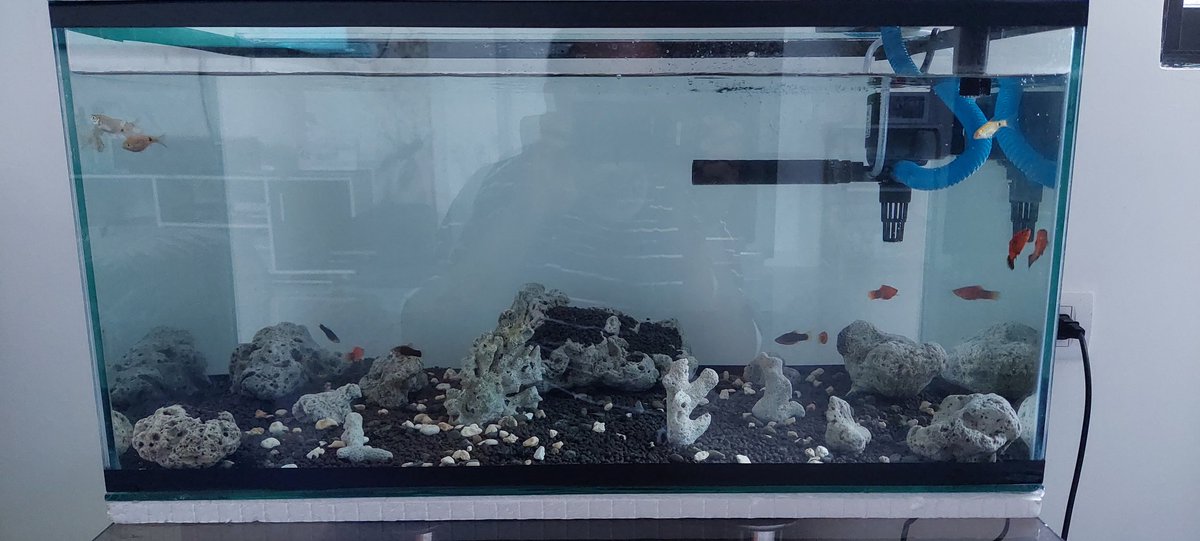 ashenone07's tweet image. Finally started my hobby. I planted a couple of seeds in the bottom and hoping after a week to see them grow.