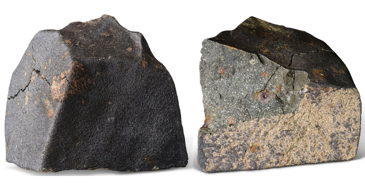 FutureJurvetson's tweet image. Made in Space: the A-T-G-C of our DNA 🌎🧬 ☄

A bombshell in Nature today — All of the base pairs of our biology have now been found in CM2 meteorites, supporting the theory that life’s precursors arrived on Earth from abiotic origins past Jupiter. How? flic.kr/p/2ngXUkF