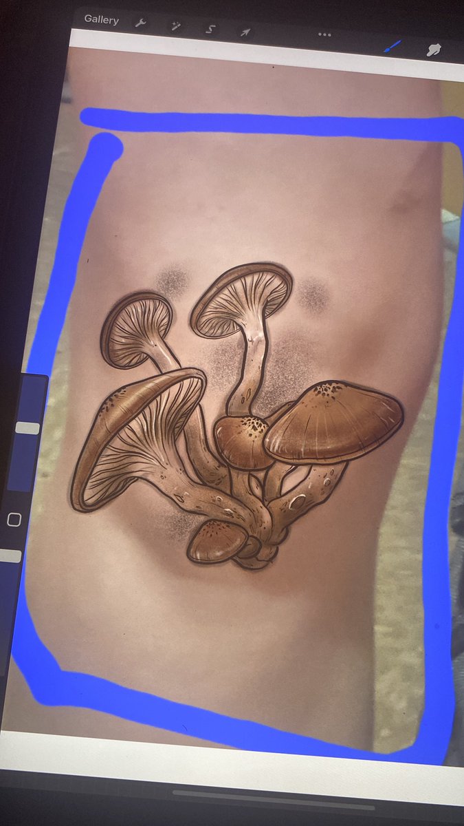 botch_toe's tweet photo. Cute knee mushroom cute knee mushroom cute knee mushroom https://t.co/bjIQKXyr2G