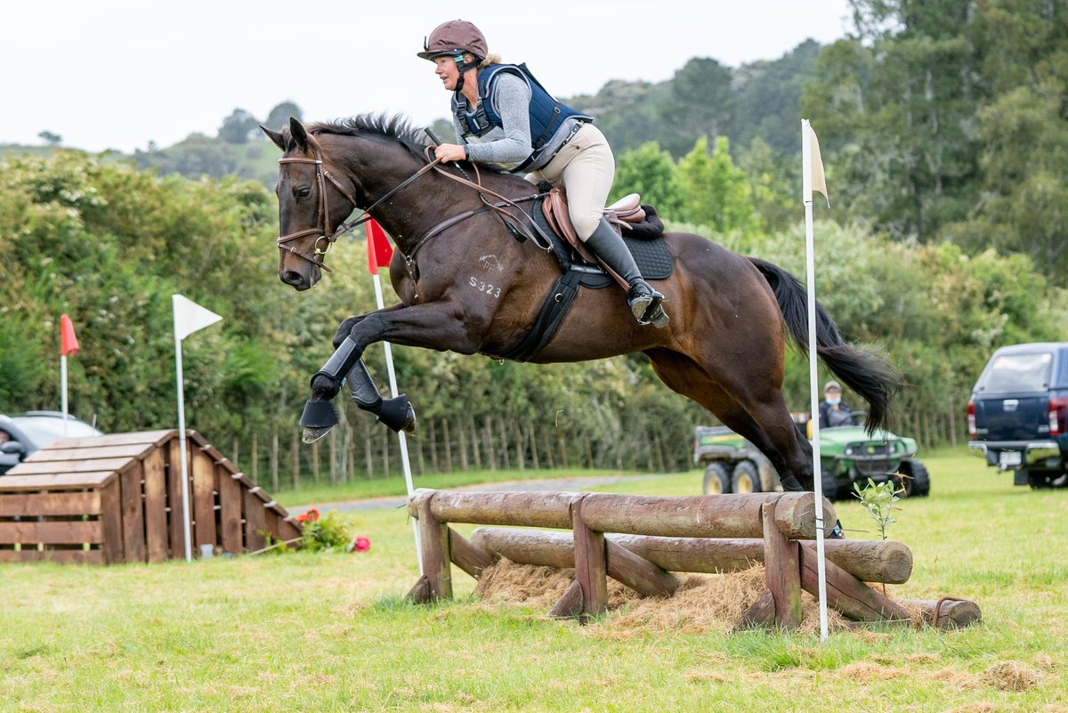 ITRProgram's tweet photo. Another talented ITR graduate! Former Tony Millard trained galloper Bold Stitch S323. 3 years retired now and excelling at everything that has a Jump in it! Hunting, Show Jumping, Eventing, there isn't much this horse can't do! @HKJC_Racing #ITR #retiredracehorse @dommillard1 https://t.co/x6uKGnMz5K