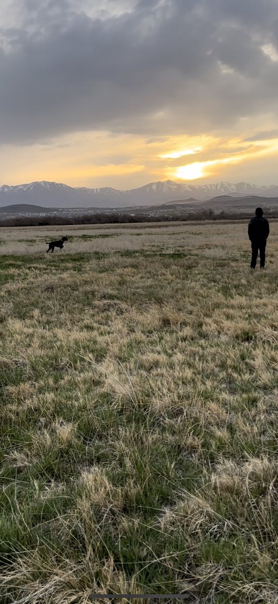 VWhittingfield's tweet photo. Nights like this make everything worth it. ❤️❤️❤️ https://t.co/EoZttmCaB9