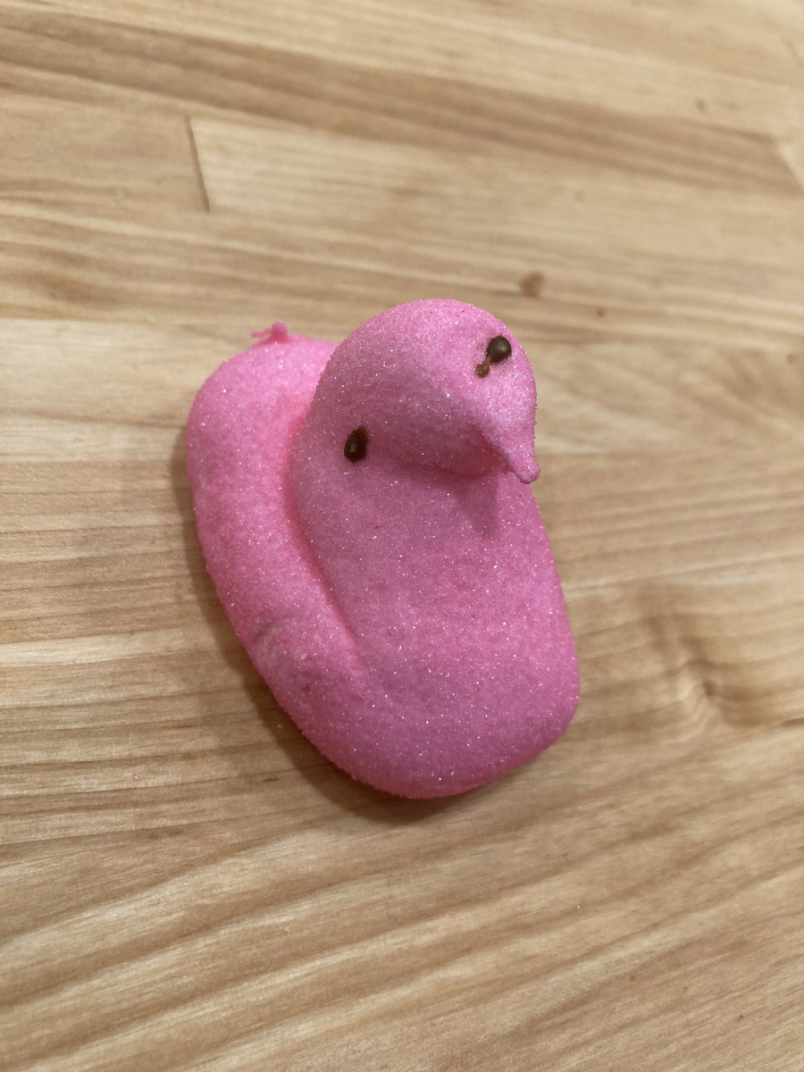 OskarNelson's tweet photo. Me, when I’ve had a rough day at school. https://t.co/cSXp0zLVNN