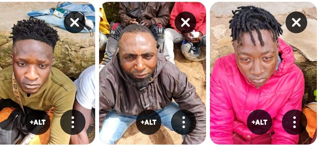 SOUTHERN CAMEROONS /AMBA ACTIVISTS FRONT (SCAAF) tweet media