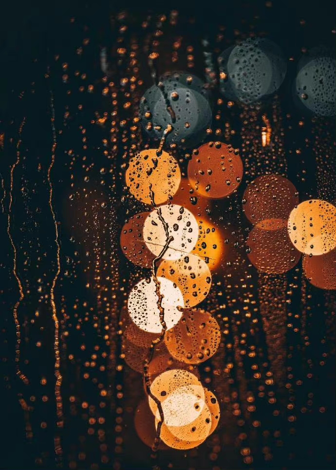 De Moppen (@demoppentweet) on Twitter photo 