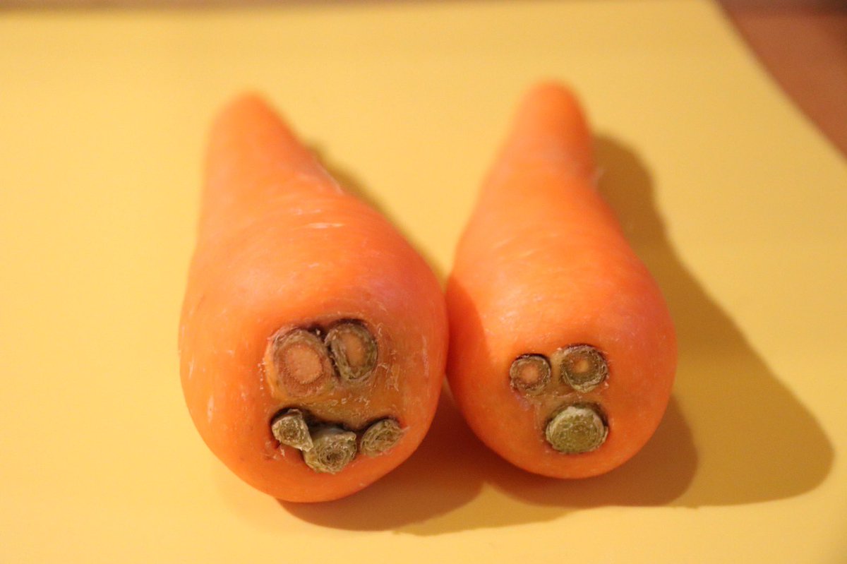 shitofarm's tweet photo. 一緒のタイミングで流れてきた人参達🥕
畑でも並んで生えてたのかな？ https://t.co/ihgDquSDPf