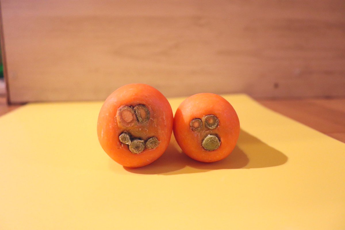 shitofarm's tweet photo. 一緒のタイミングで流れてきた人参達🥕
畑でも並んで生えてたのかな？ https://t.co/ihgDquSDPf