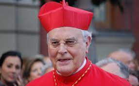 Cardenal Amigo