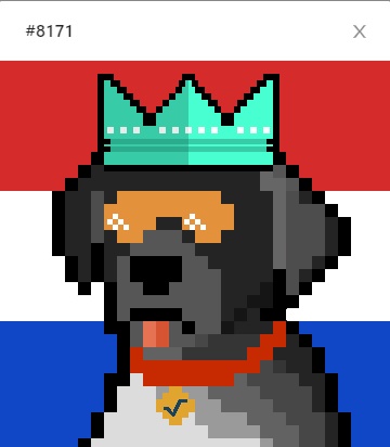 Happy #kingsday to all fellow Dutchies and of course to the rest of the globe. Radog #8171 is certainly dressed for the occasion. Still some crown Radogs left in the store. Check them out at app.radogs.tech! $XRD #Radix #radixnft #NFTs