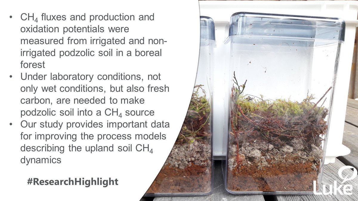 @SuomenAkatemia funded #UPFORMET consortium of @Ilmatiede, @LukeFinlandInt and @helsinkiuni showed that under laboratory conditions wet soil needs also fresh carbon to turn boreal upland forest into a methane source. #soil #LukeResearch #ResearchHighlight doi.org/10.5194/bg-19-…