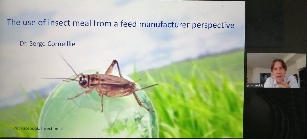 Great conversations with Dr Nick Rousseau &amp; Dr Serge Corneillie re. progress &amp; #manufacture of #insects as feed

@WovenNetwork
#Entomology #Science #Research #Education #Biology #Nature #industry #InsectProtein #InsectsAsFoodAndFeed #RESfuture #EnrichTheWorldWithInsectScience