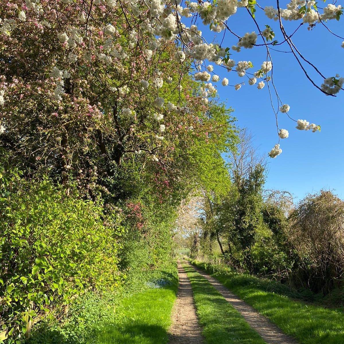 DOG OWNERS: a serious plea to all dog owners visiting the area around Harringworth and Shotley… please clear up any dog mess and take home or use the bins for this purpose in the village. The walk down by the river is particularly messy and there is NO EXCUSE. Thank you 🙏 🐕