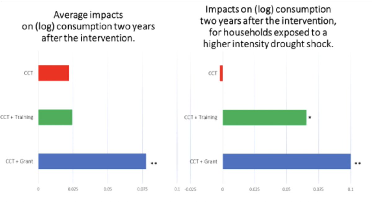 Combining cash transfers with vocational training or a productive grant protects households against droughts, by facilitating income diversification and migration, smoothing consumption and income.