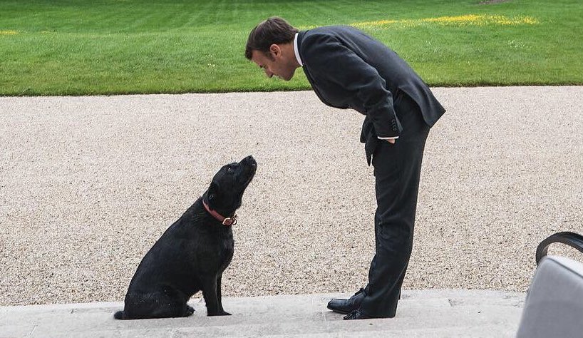 “Merci à les chiens!”

President Macron thanks the dogs of @paws_for_effect for their #LePetContreLePen campaign. 
#Presidentielle2022 #LePen @EmmanuelMacron