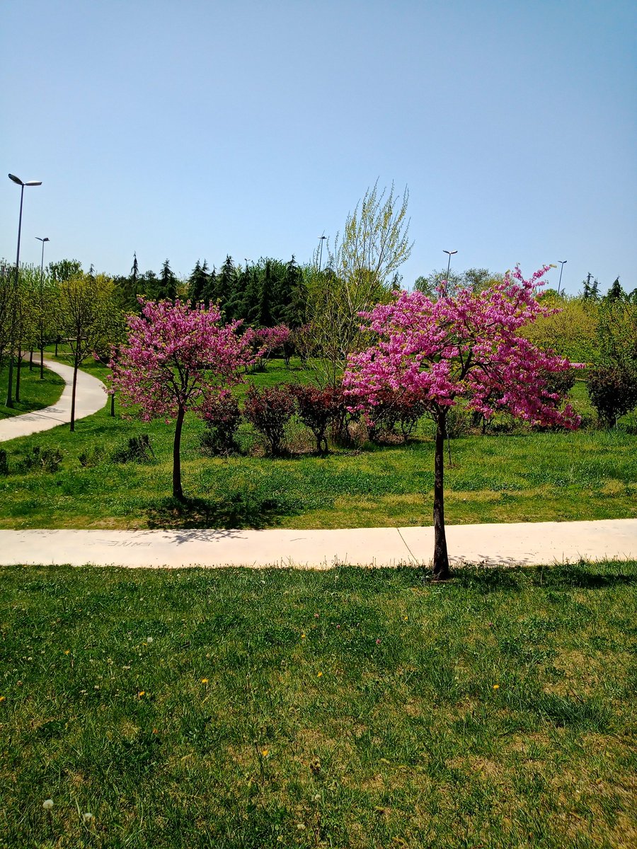 #istanbul da #ilkbahar