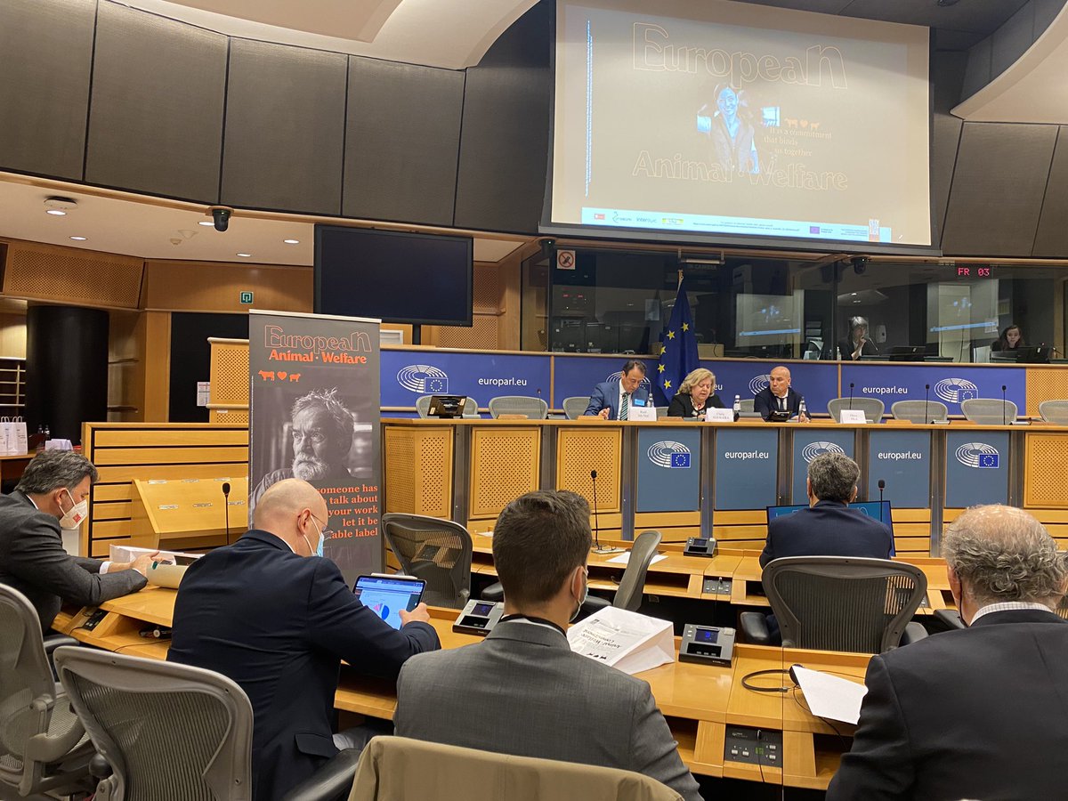 UPA_Bruselas's tweet photo. Asistiendo al acto de presentación del sello de bienestar animal de @Interovic y @Provacuno de la mano de @ClaraAguilera7. Una muestra mas del compromiso de los ganaderos de #España.@UPA_Federal https://t.co/OzVnEn0OgS