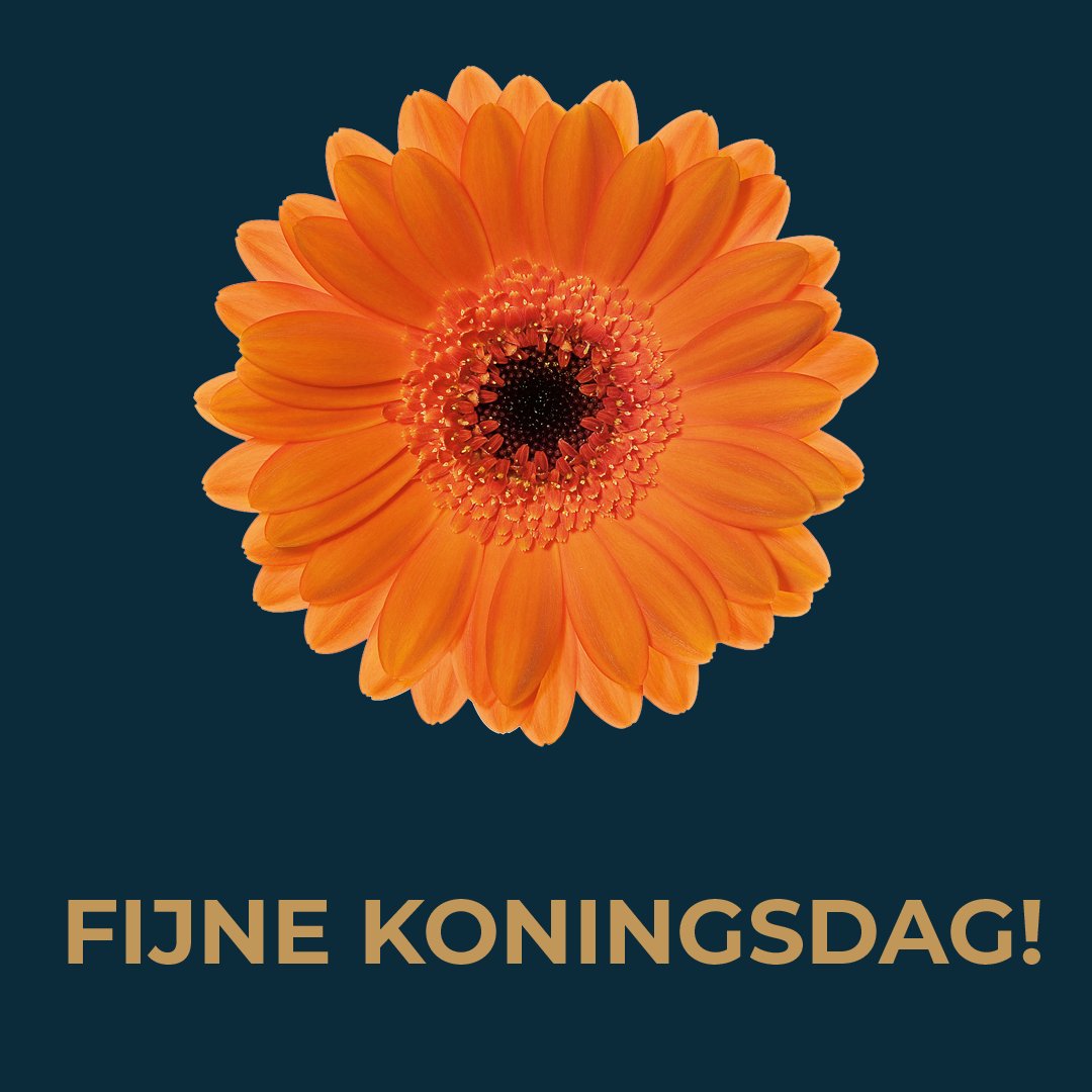 Pullposition's tweet image. Het team van Pull wenst je een fijne Koningsdag toe! 🇳🇱 🥳🧡