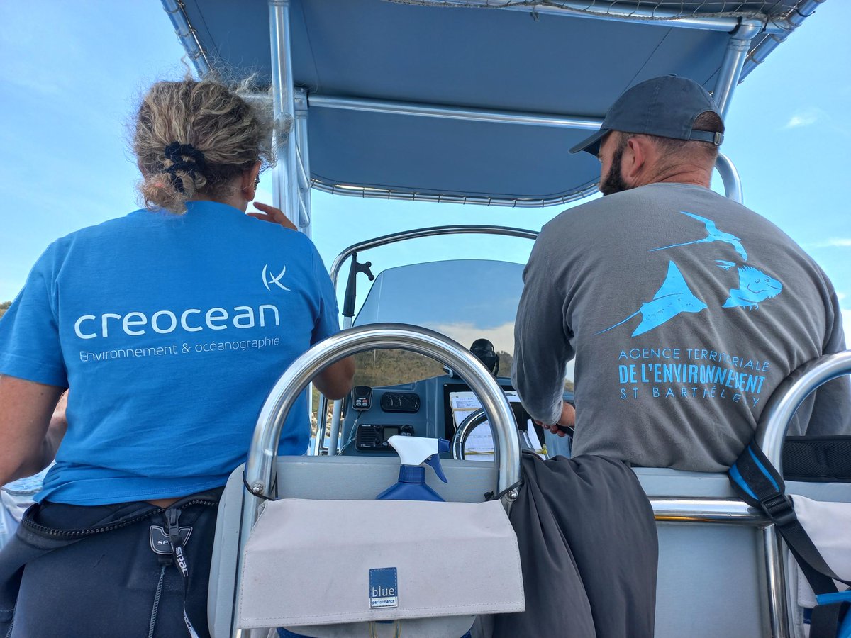 CREOCEAN_keran's tweet photo. Missions Créocéan pour l'Agence Territoriale de l'Environnement de Saint-Barthélemy :  suivi des rejets de la step de Gustavia sur les communautés benthiques, suivi #GCRMN des communautés benthiques et ichtyologiques, de la maladie #SCTLD et des diadèmes.
#projetcreocean #coraux https://t.co/ihmoDj3njH