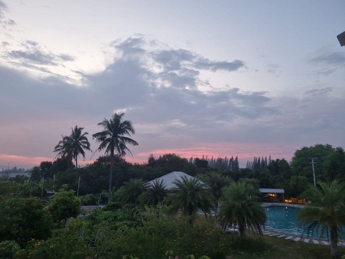 Languages Training & Development tweet media