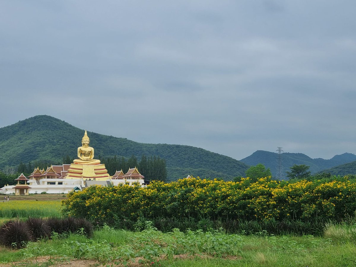 Languages Training & Development tweet media