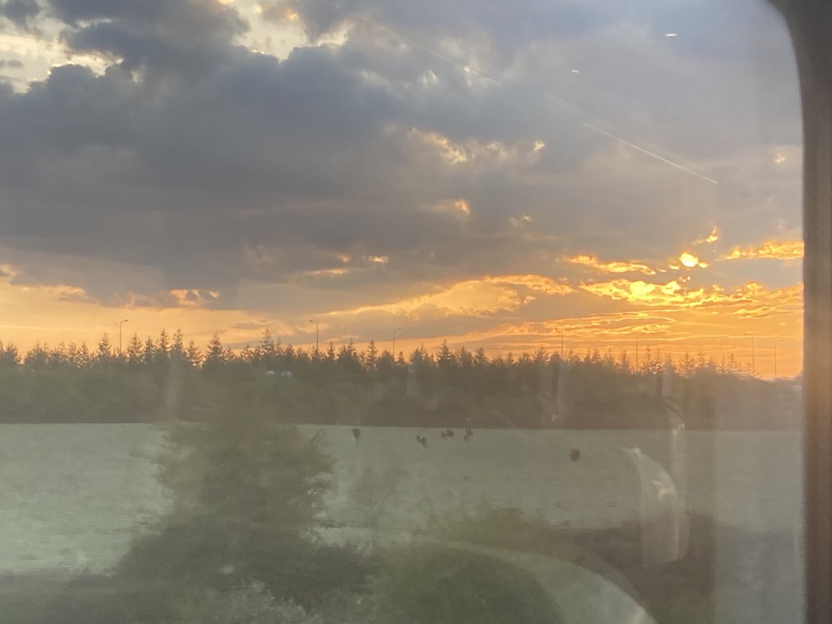 Tina O'Dwyer tweet media